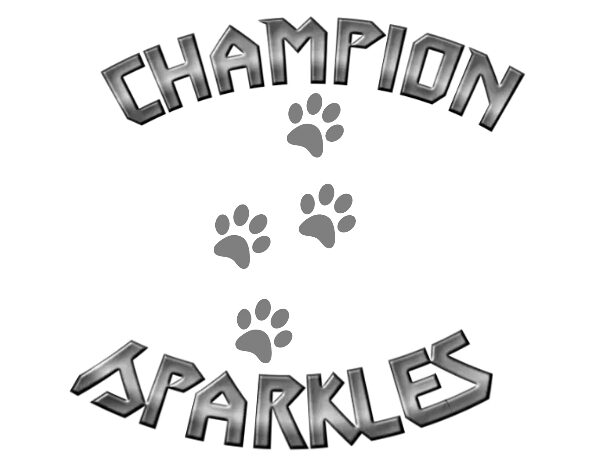 champsparkle.com